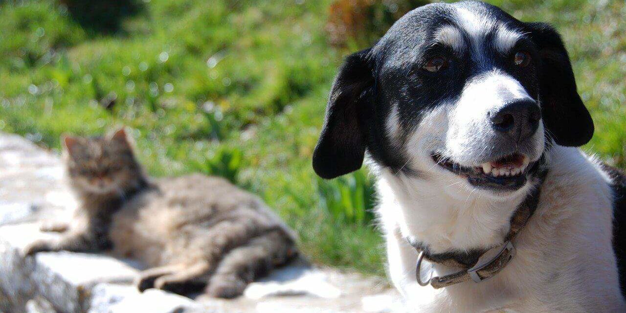 azotany-i-azotyny Azotany i azotyny