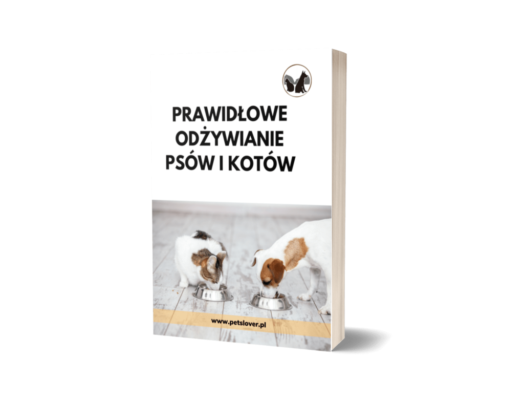 prawidlowe-odzywianie-psow-i-kotow Prawidłowe odżywianie psów i kotów
