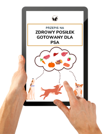 Przepis_na_zdrowy_posilek Przepis na zdrowy posiłek gotowany dla psa