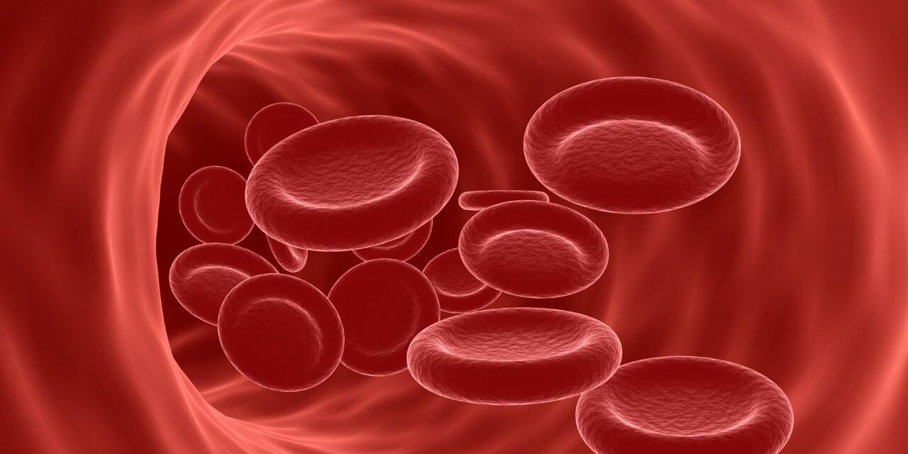 anemia_u_psa Anemia u psa