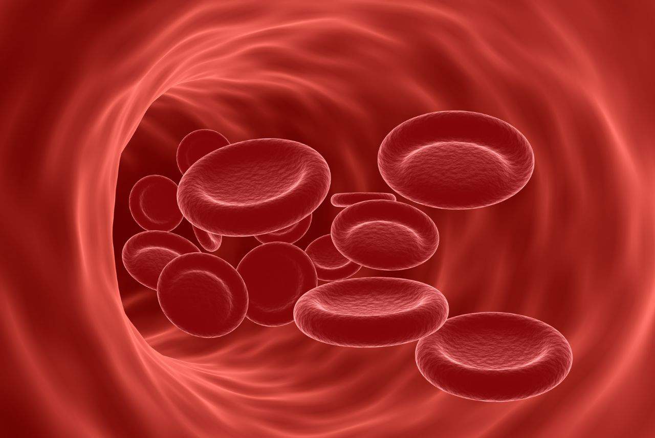 Anemia u psa