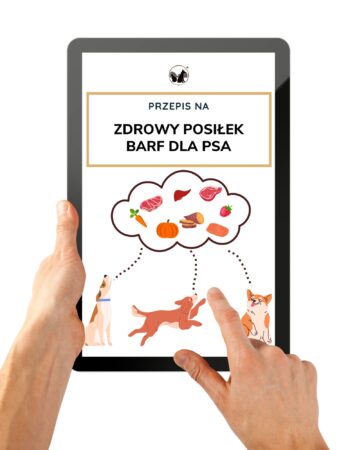 przepis-na-zdrowy-posilek-barf-dla-psa-okladka Przepis na zdrowy posiłek barf dla psa