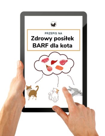 zdrowy-posilek-barf-dla-kota-okladka Zdrowy posiłek BARF dla kota