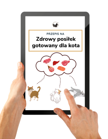 Przepis darmowy gotowany dla kota